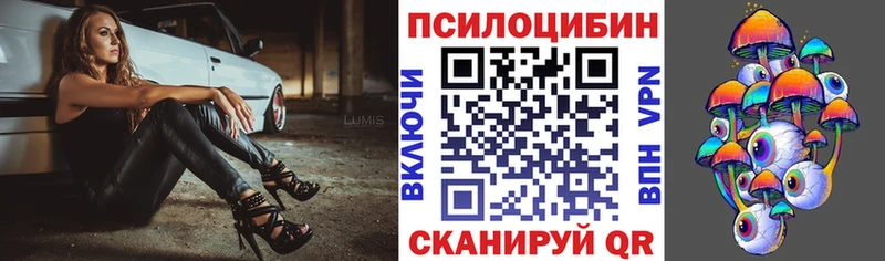 OMG ТОР  Находка  Галлюциногенные грибы Cubensis 